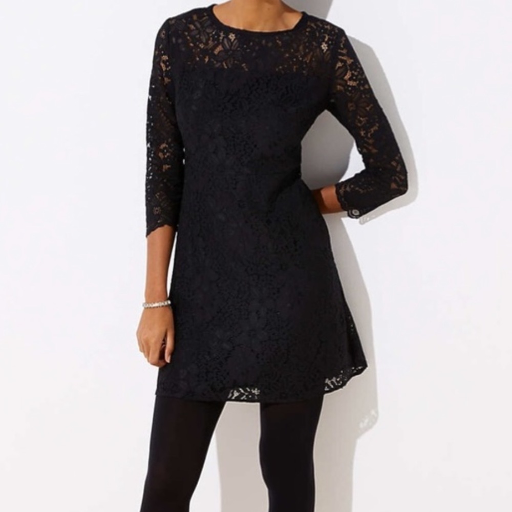 Loft lace 3/4 sleeve open back dress, size 8